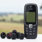 All You Need to Know About APN Australia Crazy Johondurass APN Settings for Blackberry