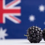 Domina los Ajustes APN en Australia para Blackberry 10