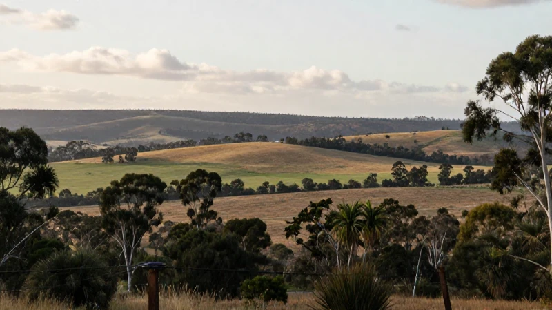 Paisaje australiano luminoso con Windows Phone