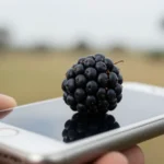 Guía Completa sobre APN Botswana Mascom BW para Blackberry