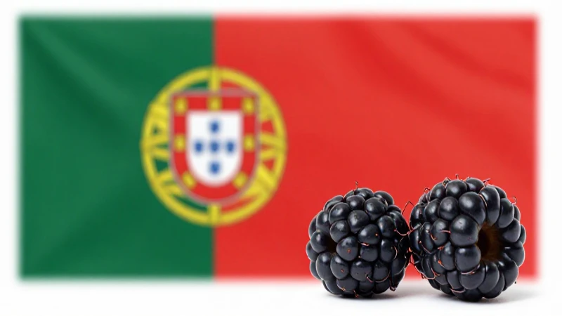 apn br blackberry meo pt gb 1