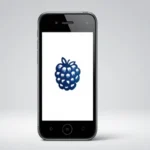 Configuración de APN BR Nextel para Blackberry en Detalle