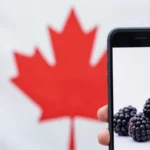 Configuración completa de APN Canada Rogers para Blackberry
