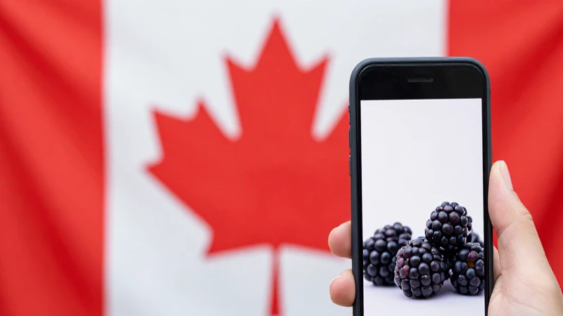 apn canada rogers apn settings for blackberry p0 1