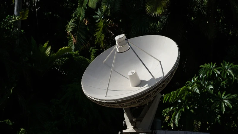 Antena satelital en selva, fuerte contraste