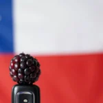 Configuración de APN en Chile para Wom en Blackberry