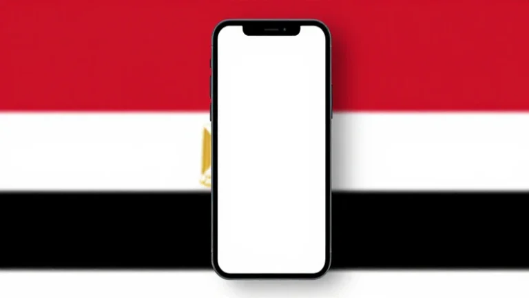 apn egypt orange egypt nc 1