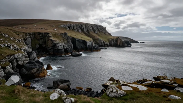 apn falkland islands balance sure fk 5o 1