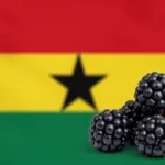 Configurar correctamente el APN Ghana Tigo GH Blackberry
