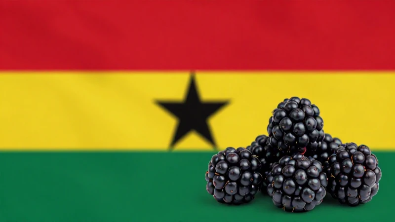 apn ghana tigo gh blackberry 95 1