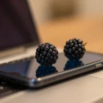 APN India BSNL APN Settings for Blackberry: Everything You Need