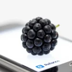 Comprehensive Guide to APN India Reliance APN Settings for Blackberry