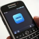 Configuración Completa de APN para India Tata Docomo en BlackBerry