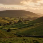 Todo lo que necesitas saber sobre APN Ireland Gomo IE