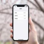 Guía Completa de Configuración APN para IIJmio en Japón