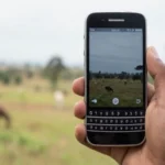 Guía Completa sobre APN Kenya Safaricom para BlackBerry
