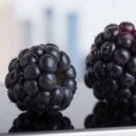 Apn Malaysia Digi Internet Settings for Blackberry Devices