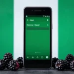 Comprehensive Guide to APN Nigeria Airtel Nigeria Settings for Blackberry 10 Devices
