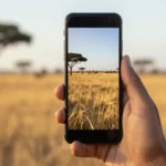 Complete Guide to APN Nigeria Visafone APN Settings for Android