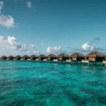 APN Palau PNCC APN Settings: Todo lo que Necesitas Saber