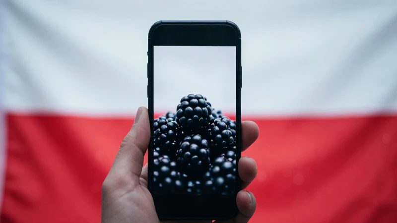 Teléfono Blackberry con bandera polaca, suave enfoque