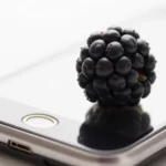 Complete Guide to APN South Africa Telkom APN Settings for Blackberry