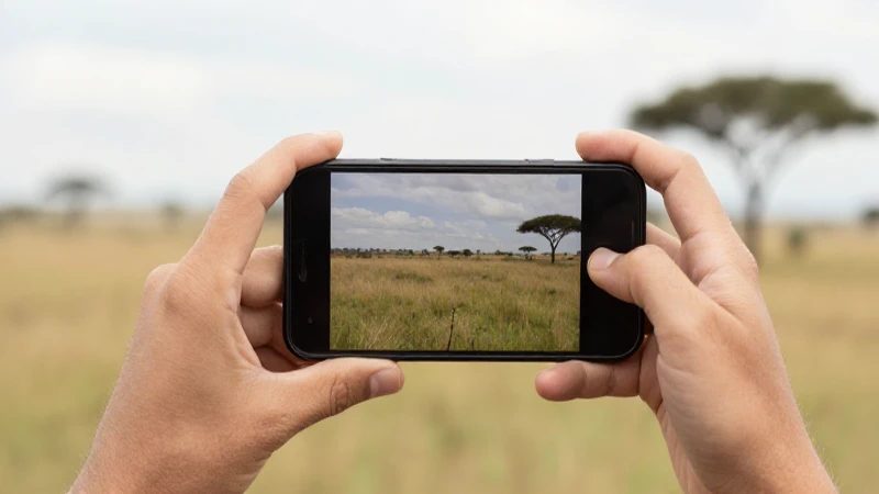 Guía Completa: APN SouthAfrica Vodacom APN Settings for Windows Phone 3 Smartphone en sabana africana, luz suave