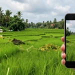 Guía Completa de APN para Etisalat en Sri Lanka