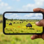 Configuración Completa de APN en Tigo Tanzania Tz Para Todos los Usuarios