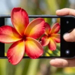 APN Trinidad and Tobago Digicel TT: Guía Completa y Detallada