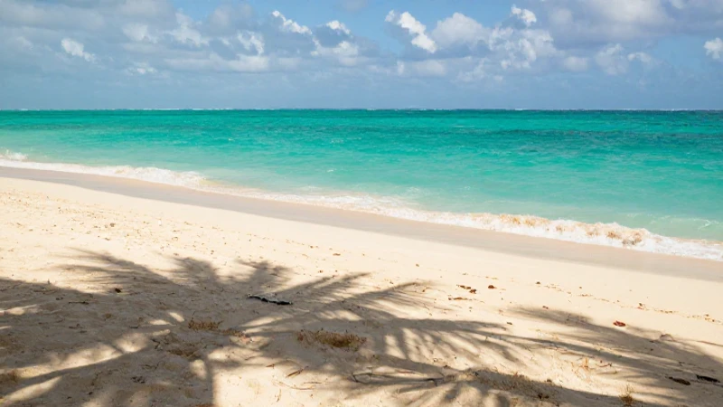 Playa turquesa vibrante con sol cálido