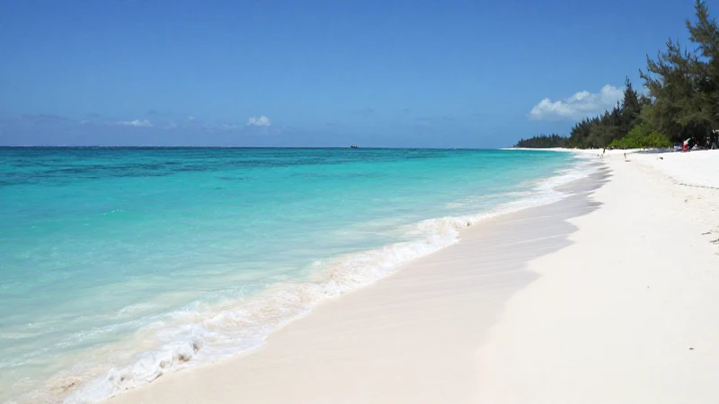 Todo lo que Necesitas Saber sobre APN Turks Caicos Digicel TC