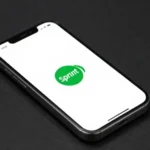 Complete Guide to APN US Sprint APN Settings for iPhone