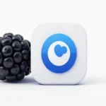 Configuración Detallada de APN para Blackberry en Straight Talk