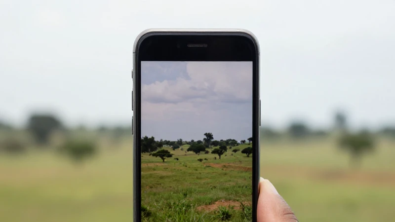 Celular Android con paisaje zambiano suave